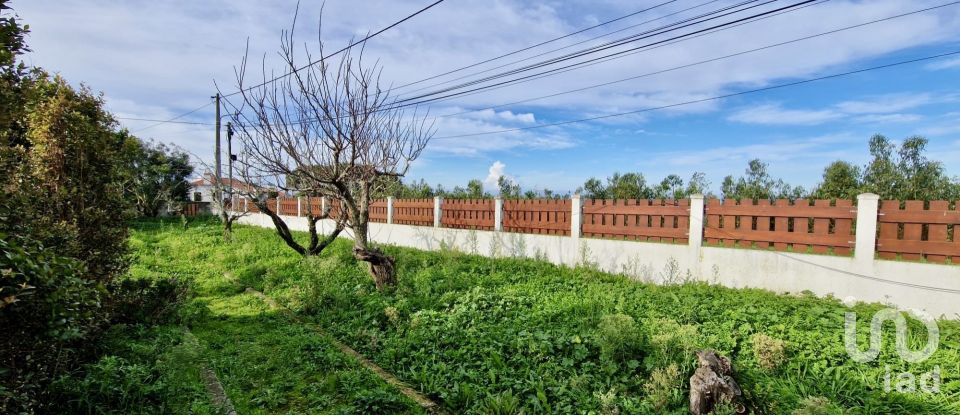 Maison T2 à Santo Isidoro de 123 m²