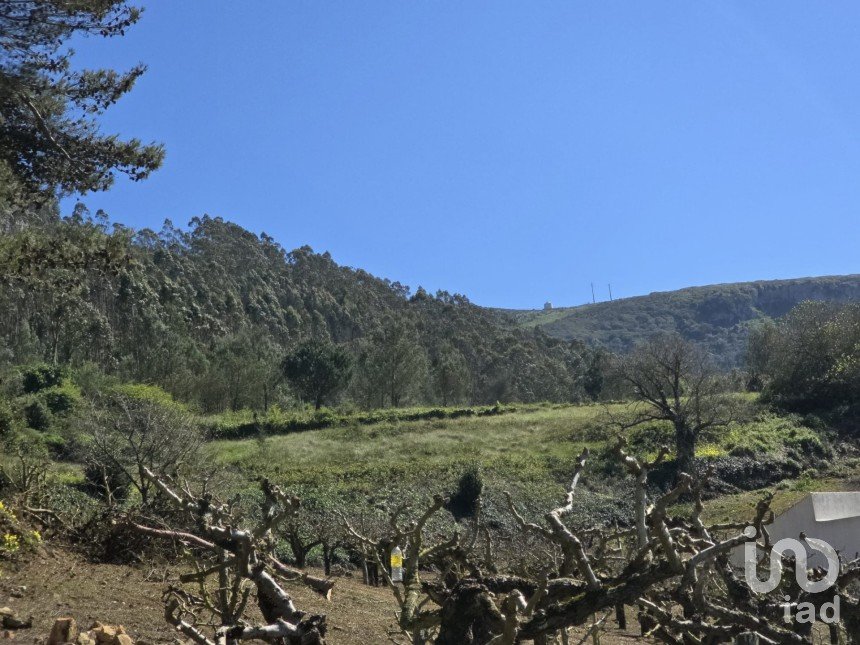 Land in Lamas e Cercal of 4,712 m²