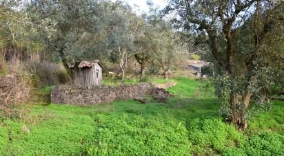 Maison T5 à Igreja Nova do Sobral de 240 m²