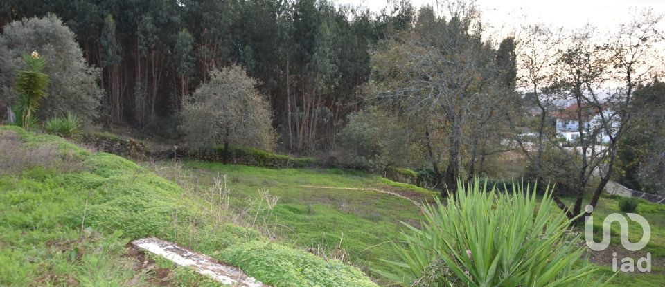 Moradia T5 em Igreja Nova do Sobral de 240 m²