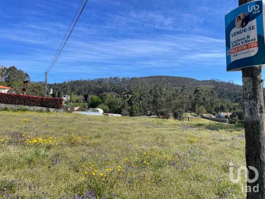 Land in Campo E Tamel (São Pedro Fins) of 3,000 m²