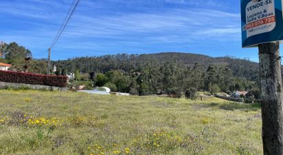 Land in Campo E Tamel (São Pedro Fins) of 3,000 m²