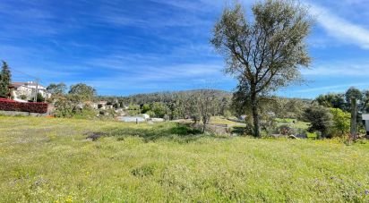 Land in Campo E Tamel (São Pedro Fins) of 3,000 m²