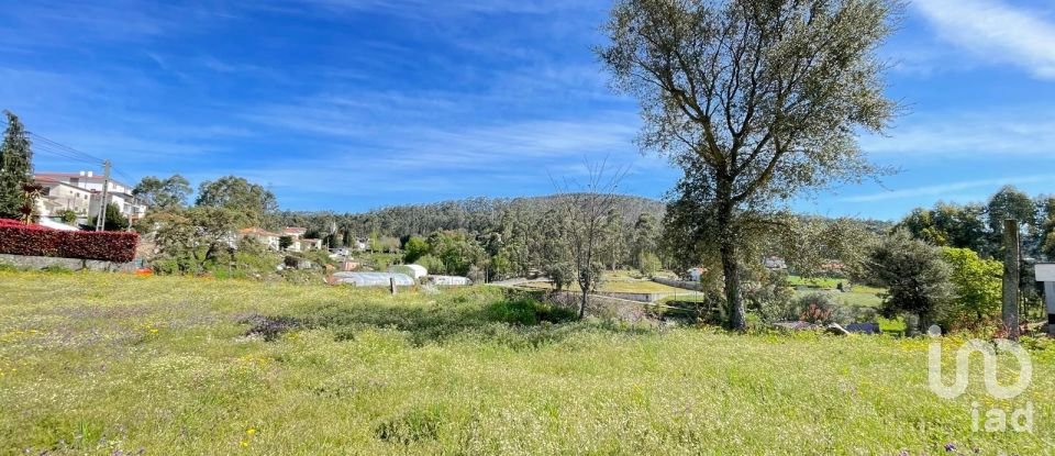 Land in Campo E Tamel (São Pedro Fins) of 3,000 m²