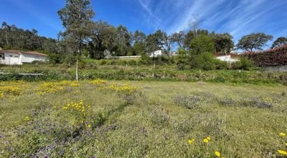 Land in Campo E Tamel (São Pedro Fins) of 3,000 m²