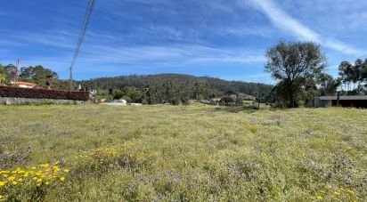 Land in Campo E Tamel (São Pedro Fins) of 3,000 m²