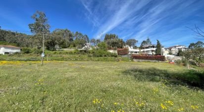 Land in Campo E Tamel (São Pedro Fins) of 3,000 m²