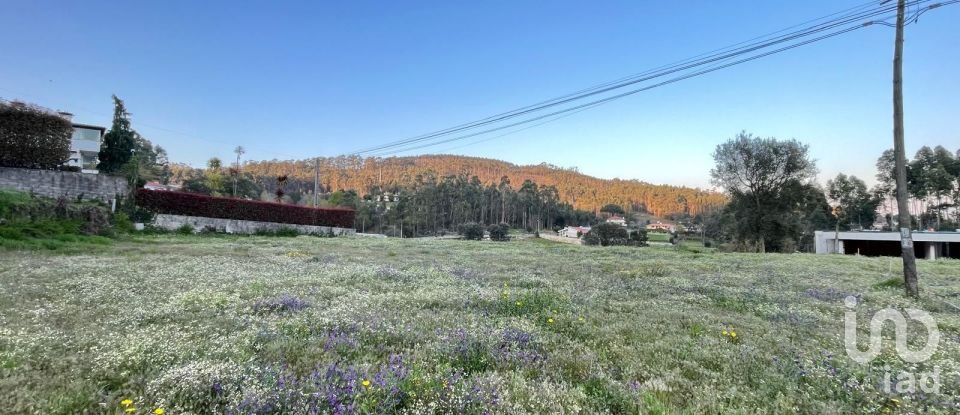 Land in Campo E Tamel (São Pedro Fins) of 3,000 m²