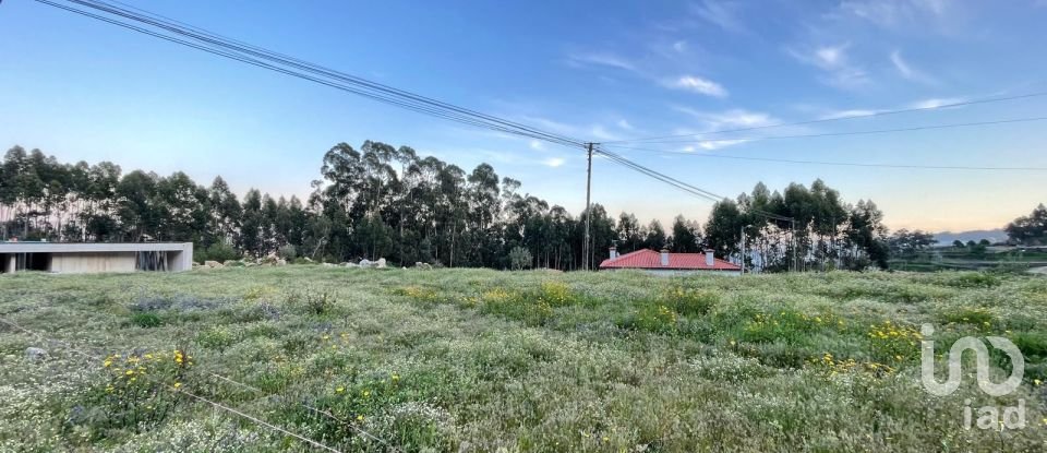 Land in Campo E Tamel (São Pedro Fins) of 3,000 m²