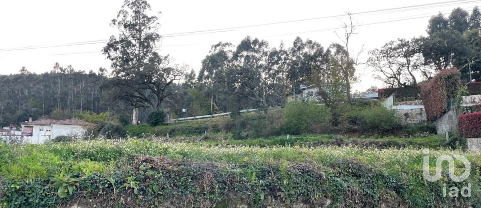 Land in Campo E Tamel (São Pedro Fins) of 3,000 m²