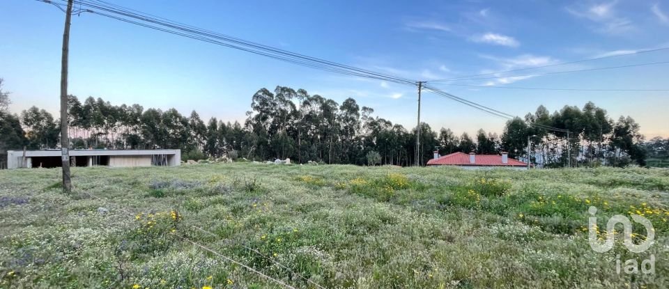 Land in Campo E Tamel (São Pedro Fins) of 3,000 m²