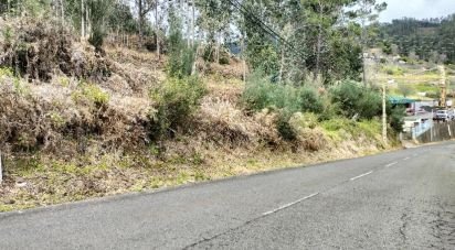 Terrain à Canhas de 4 430 m²