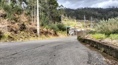 Terrain à Canhas de 4 430 m²