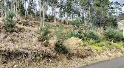 Terrain à Canhas de 4 430 m²