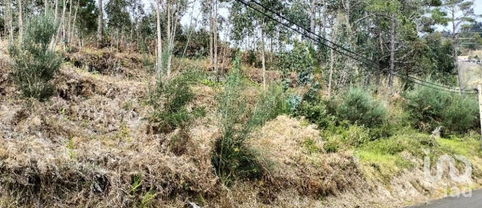 Terreno em Canhas de 4 430 m²