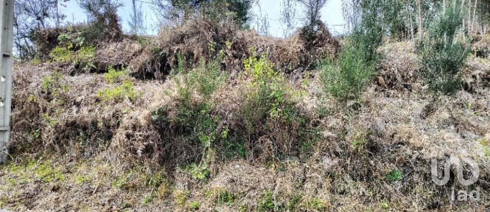 Terreno em Canhas de 4 430 m²