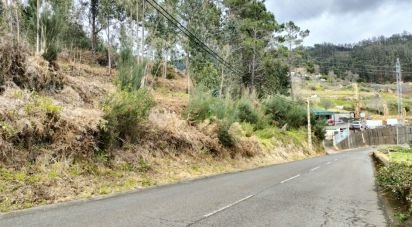 Terrain à Canhas de 4 430 m²