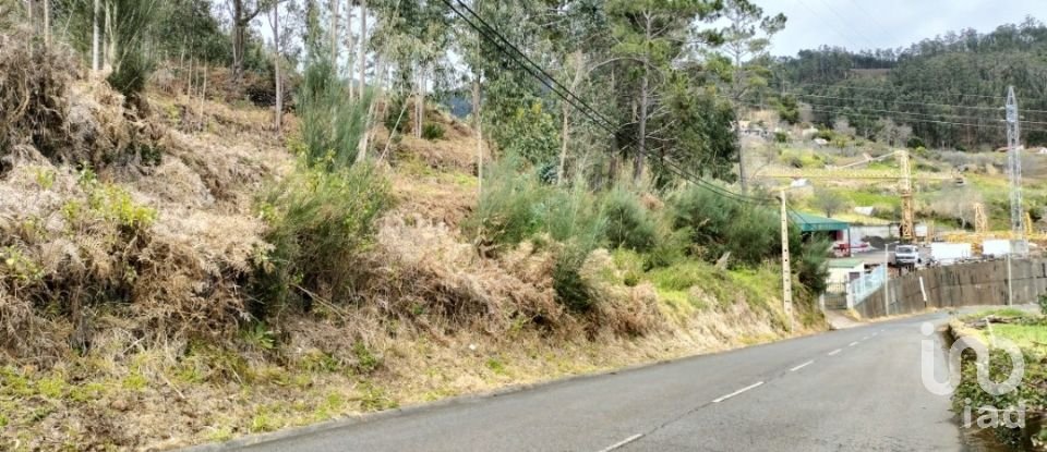 Terreno em Canhas de 4 430 m²