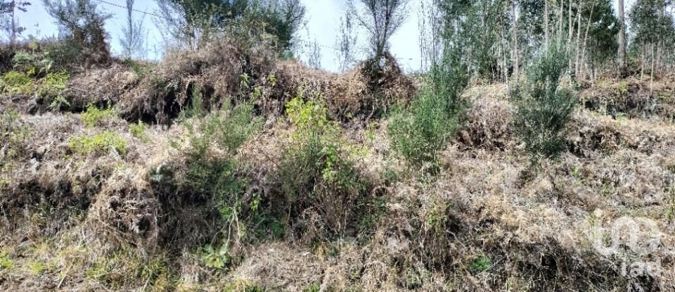 Terreno em Canhas de 4 430 m²