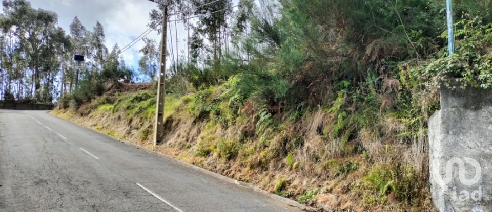 Terreno em Canhas de 4 430 m²