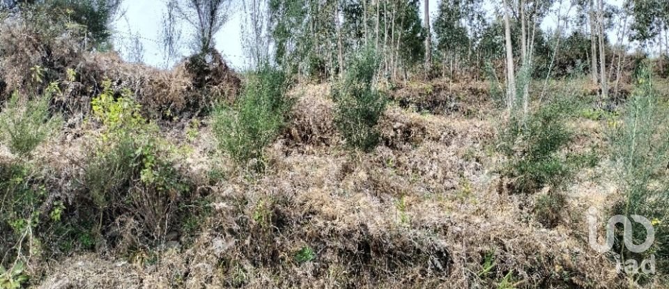 Terreno em Canhas de 4 430 m²