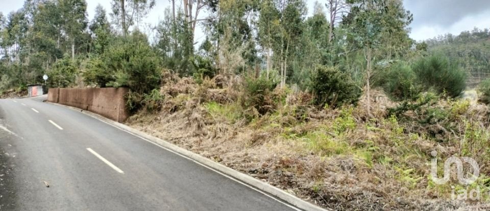 Terreno em Canhas de 4 430 m²