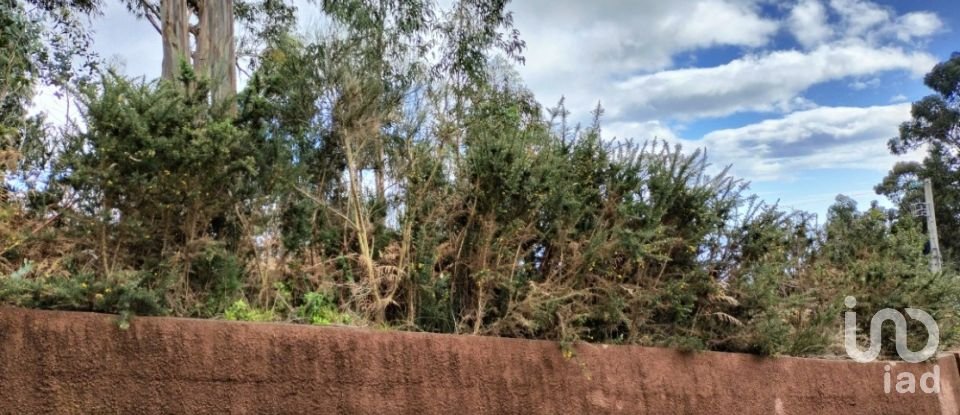 Terreno em Canhas de 4 430 m²