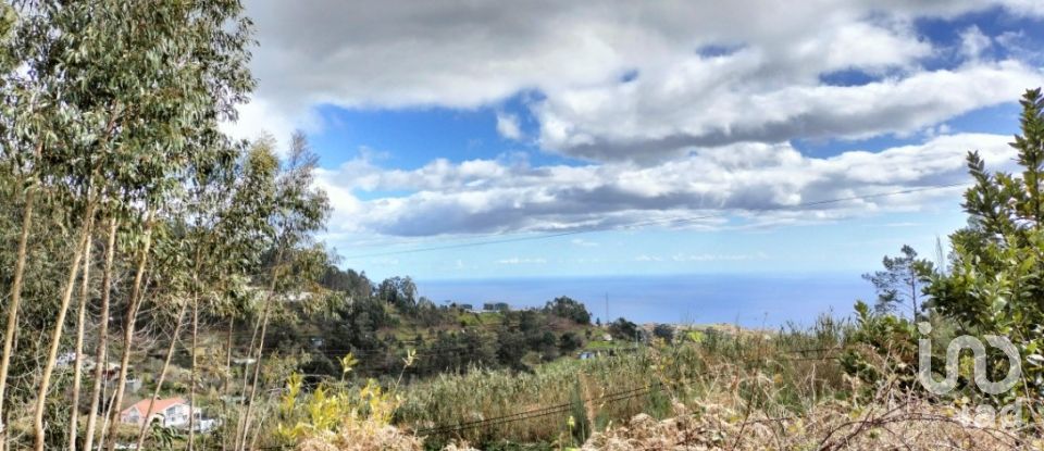 Terreno em Canhas de 4 430 m²