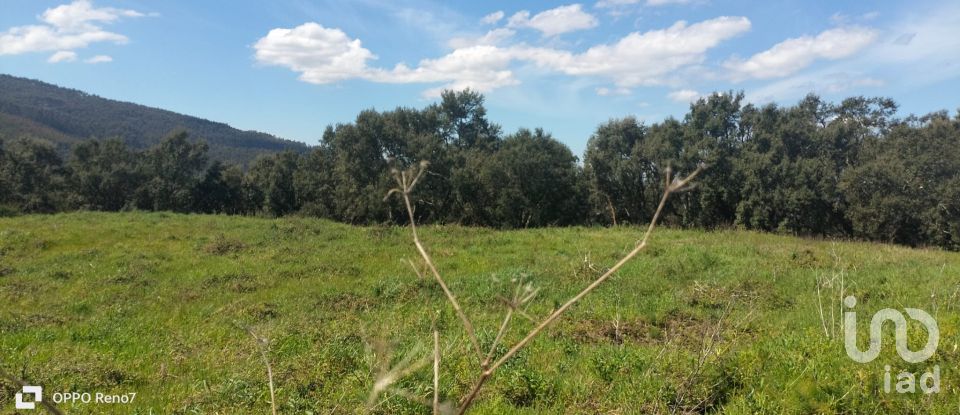Terrain à bâtir à Negrelos (São Tomé) de 31 109 m²