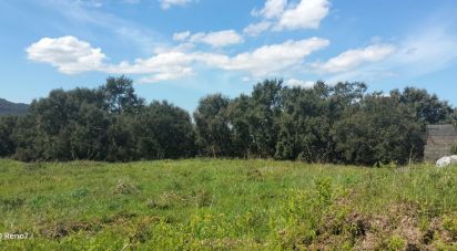 Terrain à bâtir à Negrelos (São Tomé) de 31 109 m²