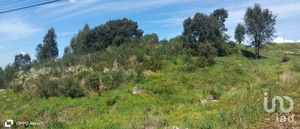 Terrain à bâtir à Negrelos (São Tomé) de 31 109 m²