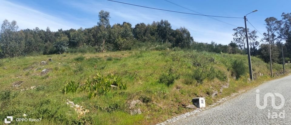 Terrain à bâtir à Negrelos (São Tomé) de 31 109 m²