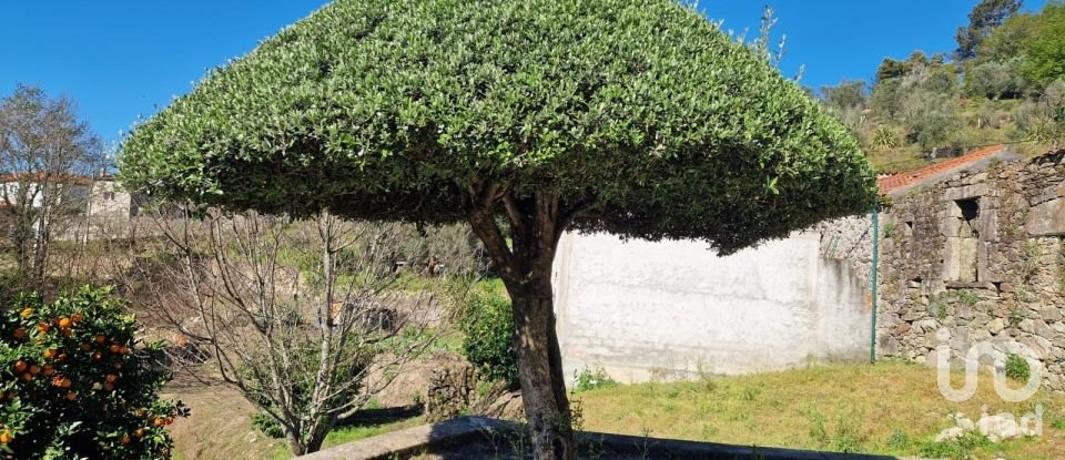 Maison T2 à Labruja de 175 m²