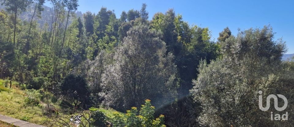 Maison T2 à Labruja de 175 m²