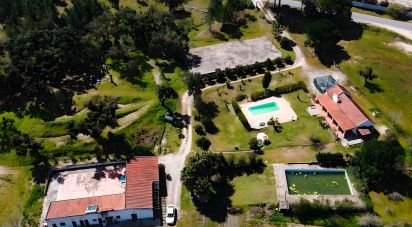 Ferme T5 à Cortiçadas de Lavre e Lavre de 250 m²