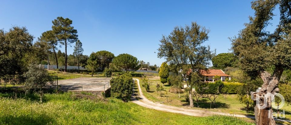 Farm T5 in Cortiçadas de Lavre e Lavre of 250 m²