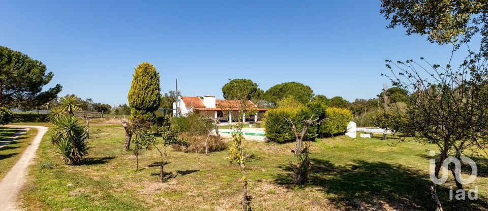 Farm T5 in Cortiçadas de Lavre e Lavre of 250 m²