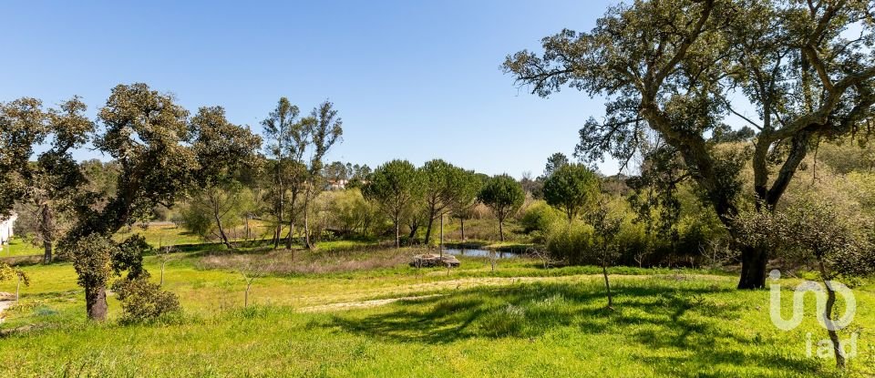 Farm T5 in Cortiçadas de Lavre e Lavre of 250 m²