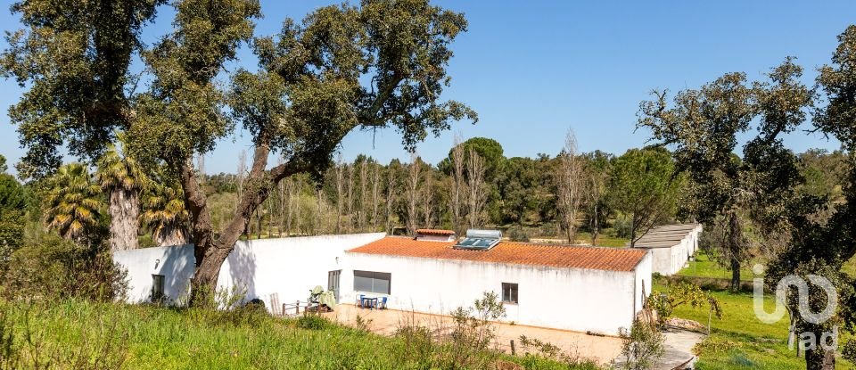 Farm T5 in Cortiçadas de Lavre e Lavre of 250 m²
