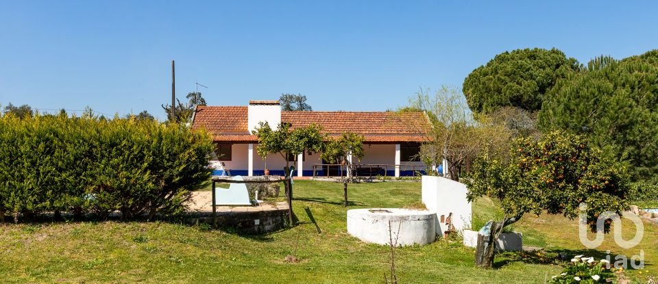 Farm T5 in Cortiçadas de Lavre e Lavre of 250 m²