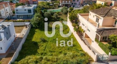 Terrain à Montenegro de 533 m²