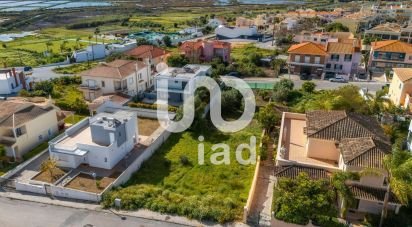 Terrain à Montenegro de 533 m²