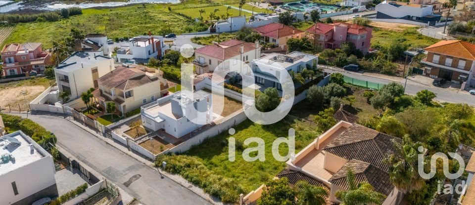 Terrain à Montenegro de 533 m²