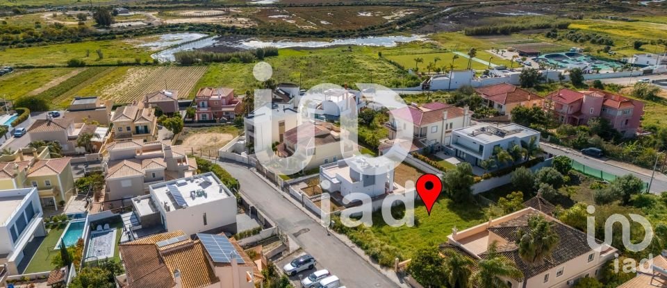 Terrain à Montenegro de 533 m²