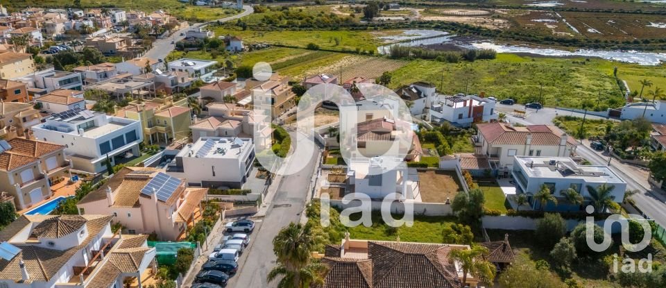 Terrain à Montenegro de 533 m²