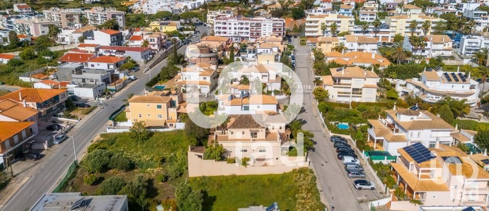 Terrain à Montenegro de 533 m²