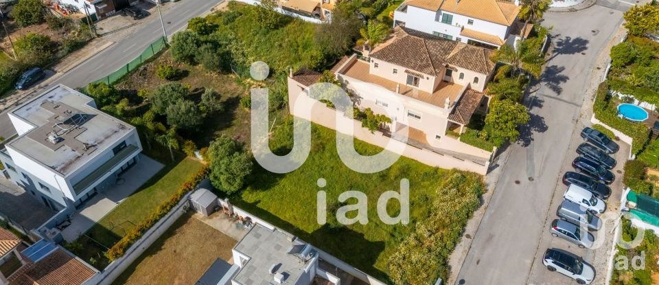 Terrain à Montenegro de 533 m²