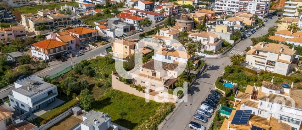 Terrain à Montenegro de 533 m²