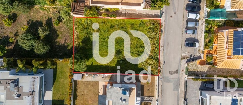 Terrain à Montenegro de 533 m²