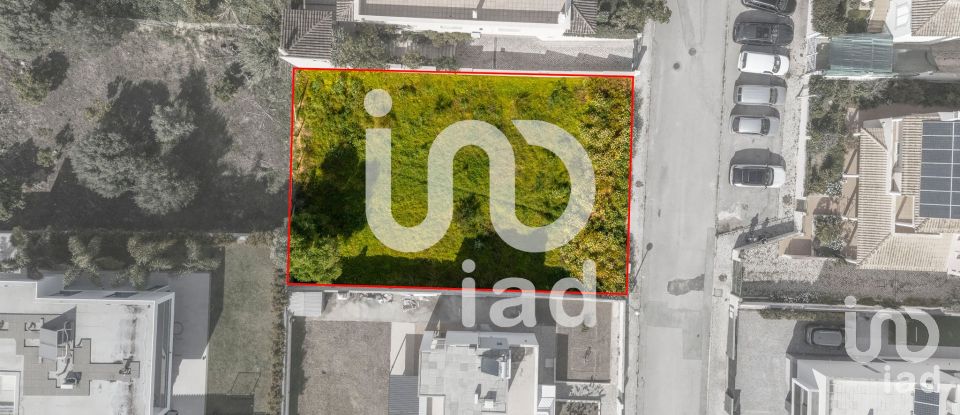 Terrain à Montenegro de 533 m²